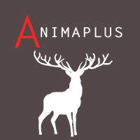 animaplus's profile