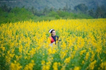 ผลงานการถ่ายภาพ วิทยาลัยพยาบาลพระปกเกล้า จันทบุรี