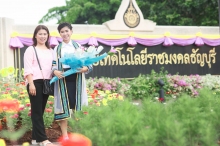 ผลงานการถ่ายภาพ มหาวิทยาลัยเทคโนโลยีราชมงคลธัญบุรี