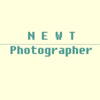 newtphotograher's profile