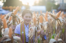 ผลงานการถ่ายภาพ มหาวิทยาลัยเทคโนโลยีราชมงคลศรีวิชัย